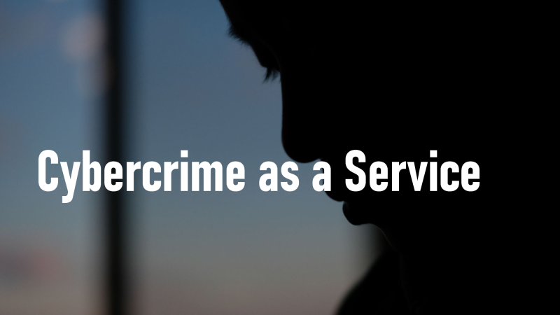 cybercrime